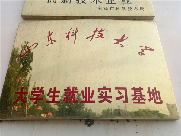 大學生就業實習基地